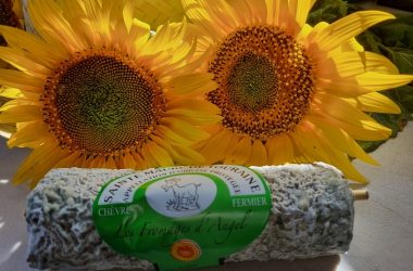 fromages_angel_sainte-maure-de-touraine