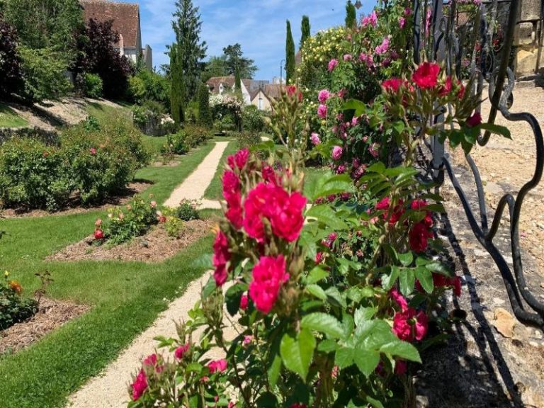 Jardin René Boylesve-6