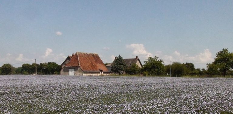 La Huberdière-1