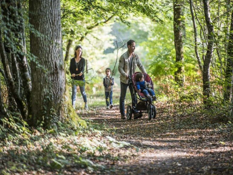 Labyrinth of the Tours-Preuilly Forest-2