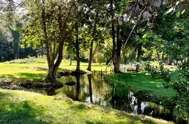 Les viviers du moulin de Langeais