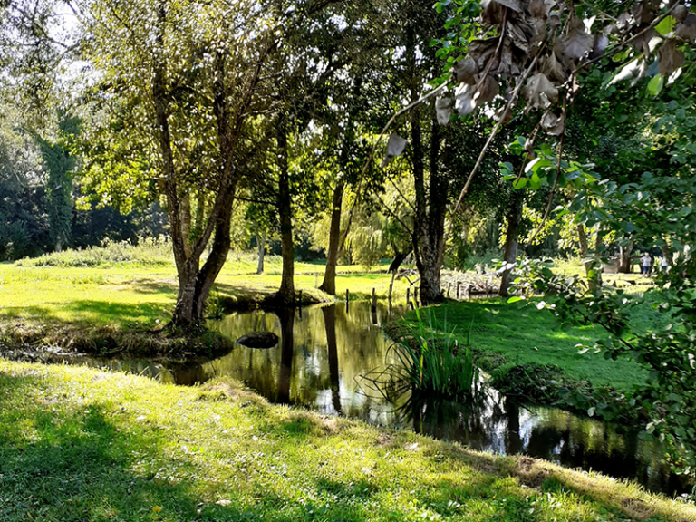 Les Viviers du Moulin de Langeais-1