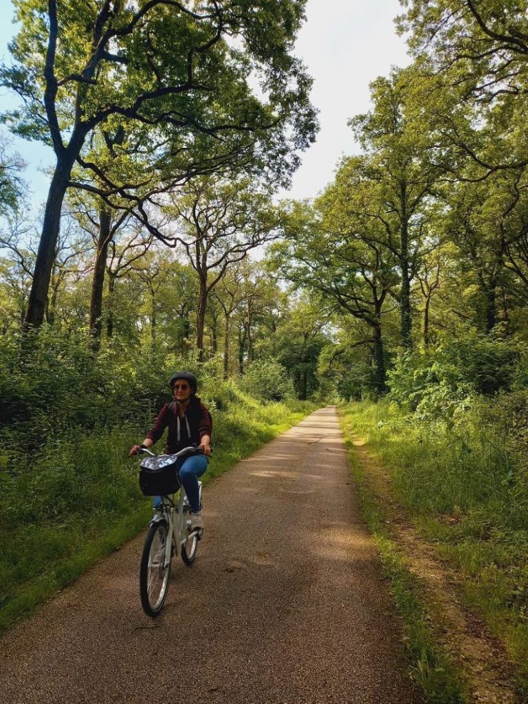 Loire Bikes-12