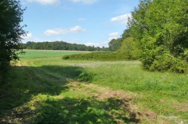 Hike around Nouans-les-Fontaines