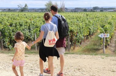 ottn-2023-2VVR David LORIEUX – Vins de Saint Nicolas de Bourgueil