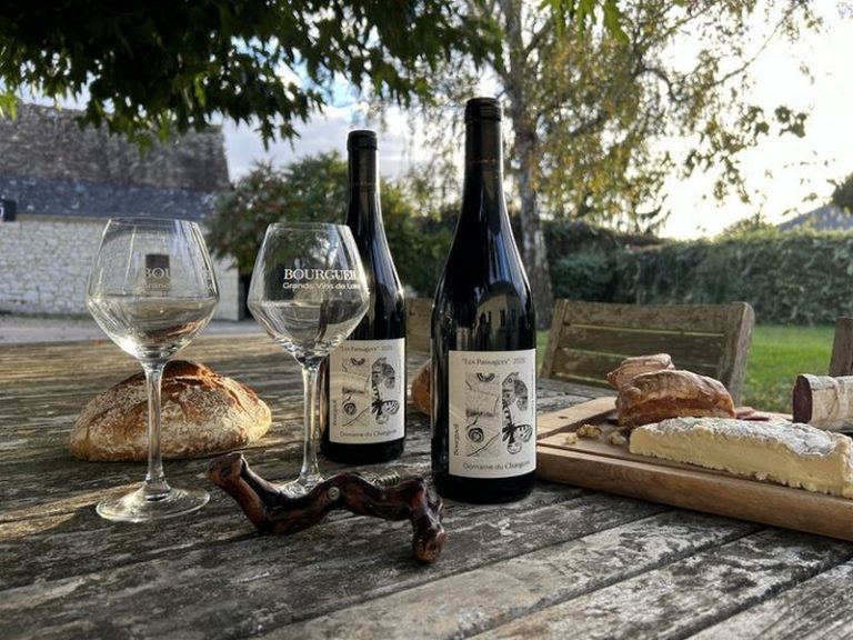 Pique-Nique du Vigneron Indépendant : Domaine du Changeon-1