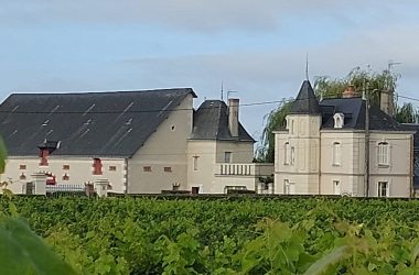 ottn-2025-PO domaine des mailloches – Restigne