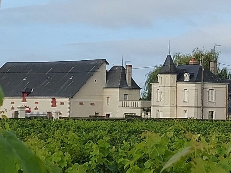 Bourgueil et entrecôte au Domaine des Mailloches-1