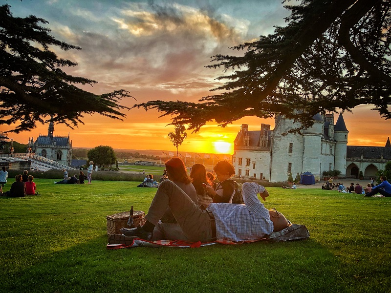 The Region of the Loire Valley Chateau. Picnic in the town of Amboise, right above the River Loire, with wine tasting.