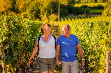 rando_Bourgueil_Credit_ADT_Touraine_JC_Coutand_2029