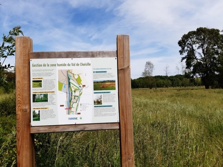 From the river to the coteaux: walk through the Val de Choisille.-4