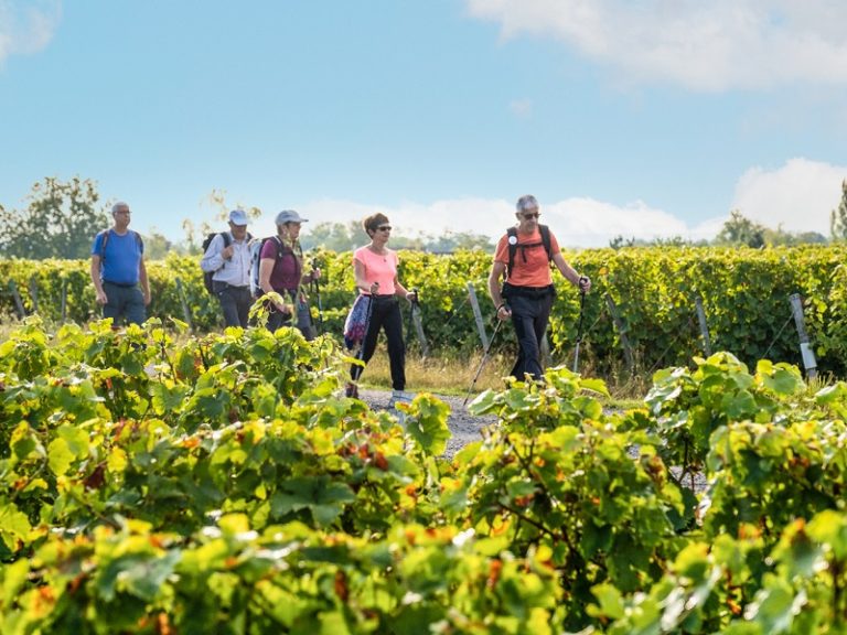 Vineyards and heritage-4