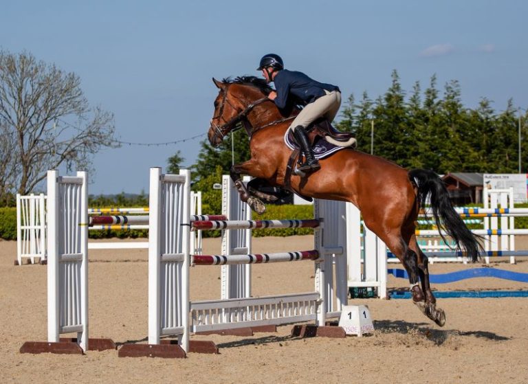 Nouans Jump : Jumping/Concours de Saut d’obstacles-1