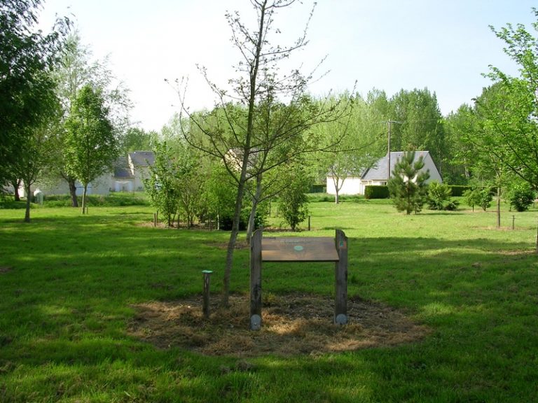 The tree, from the roots to the top-1
