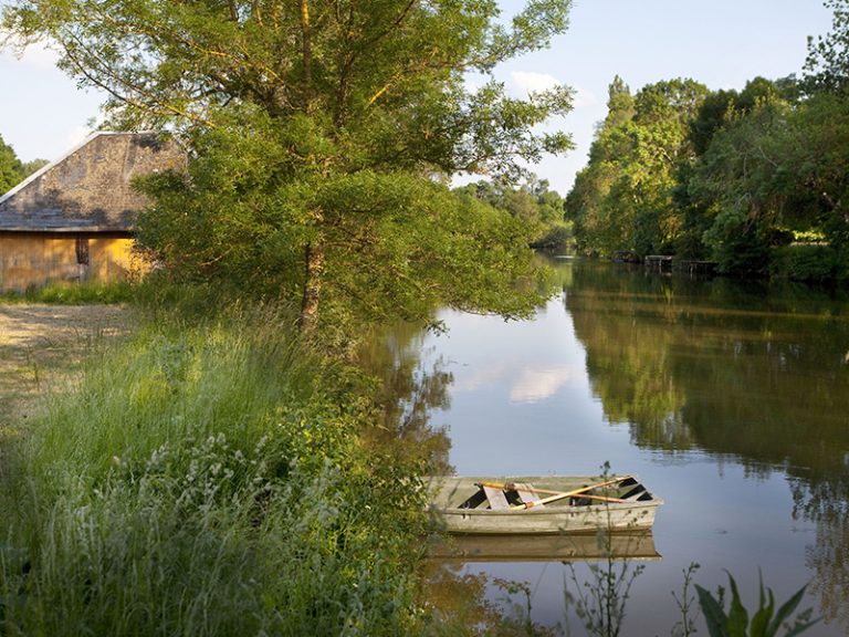 Domaine de la Tortinière-6