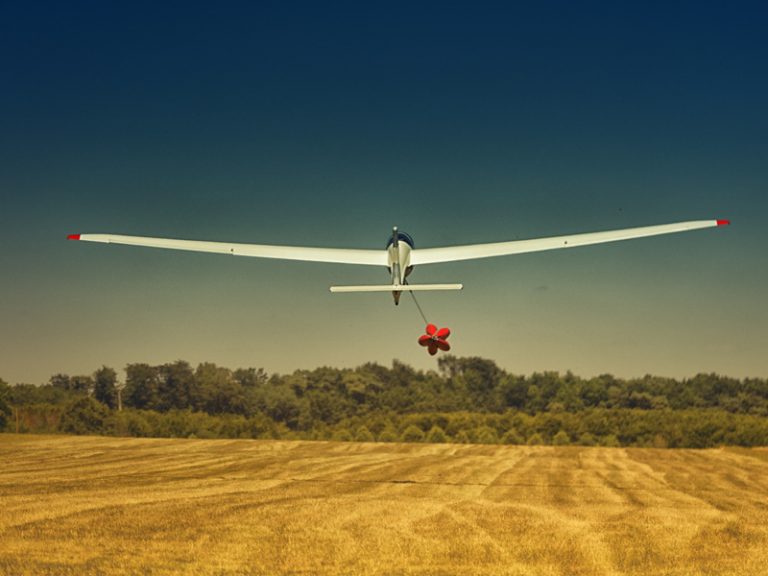 Léonard de Vinci “Touraine-Planeur” Association-2