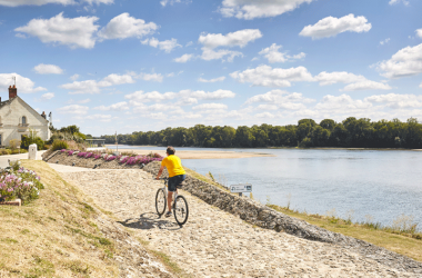 velo-la-chapelle-sur-loire-boucle-22-a-lamoureux