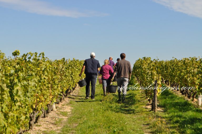 “Rendez-vous dans les vignes” – Wine-related activities-12